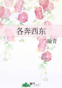 灯具电泳漆