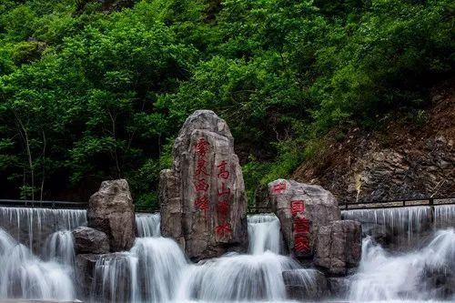 豆浆放五天有味吗?-专业问答|海量精选问题解答