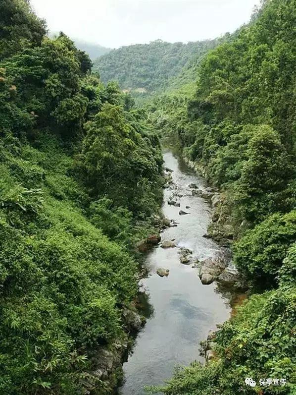 小猫钓鱼游戏龙王版有船
